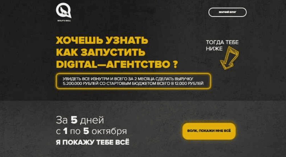 [Илья Волк] Как запустить Digital агентство. Пятидневный марафон (2018)