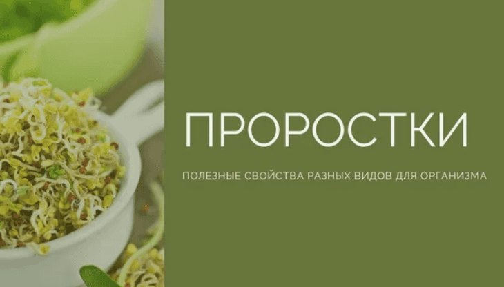 [Ирина Дудник] Видеокурс - Проростки - эликсир жизни