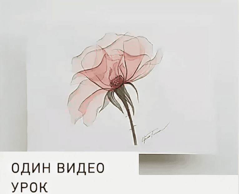 [Ирина Толчина] Прозрачные цветы. Роза (2020)