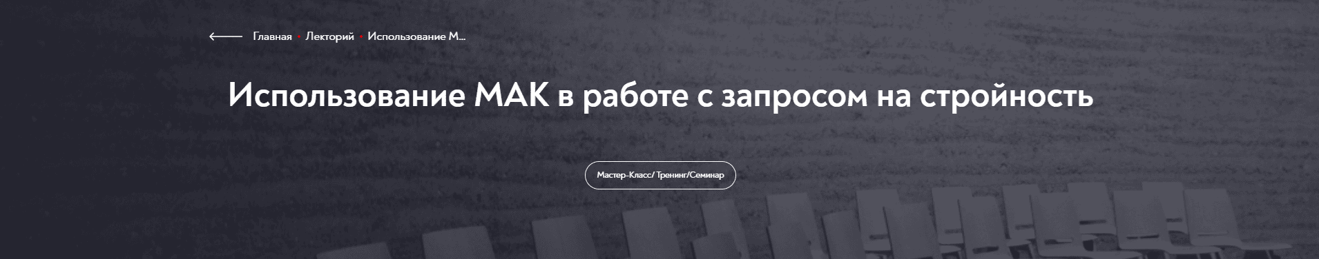 [МИП] [Марина Чижова] Использование МАК в работе с запросом на стройность (2025)