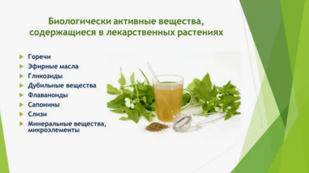 [Корсун Е.В] Биологически активные вещества растений (часть 1) (2017)