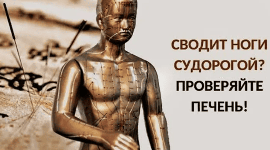 [Макарова Елена] Четыре метода диагностики в акупунктуре (2 вебинара) (2017)