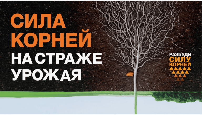 [Юрий Черников] Корневая сила (2018)