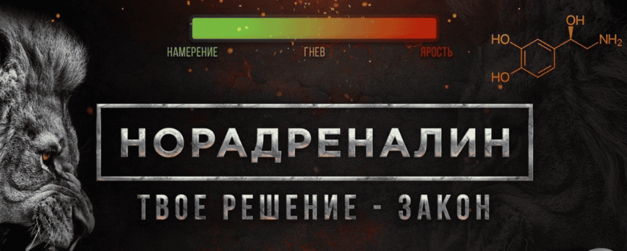[Михаил Рысак] Норадреналин. Твое решение - закон (2017)