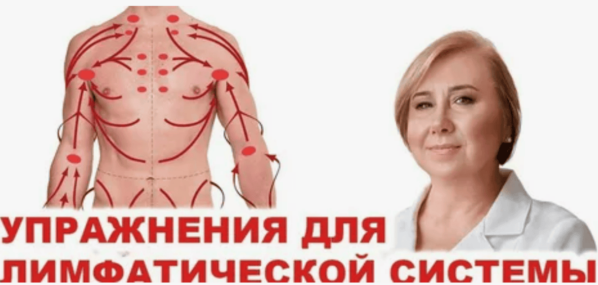 [Надя Андреева] Комплекс для лимфатической системы и пищеварения (легкий уровень) (2017)