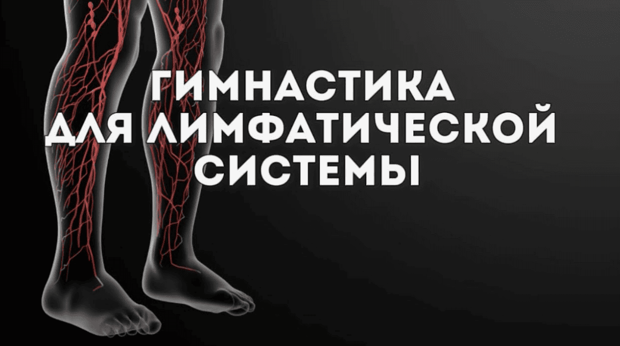 [Надя Андреева] Комплекс для лимфатической системы и пищеварения (средний уровень) (2017)