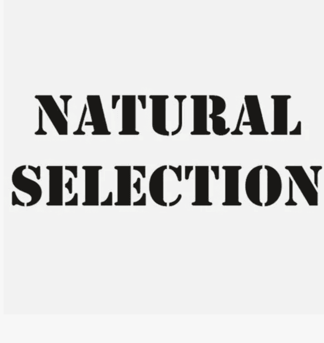 [Natural Selection] ЕСТЕСТВЕННЫЕ ЗНАКОМСТВА ЗА 10 ДНЕЙ