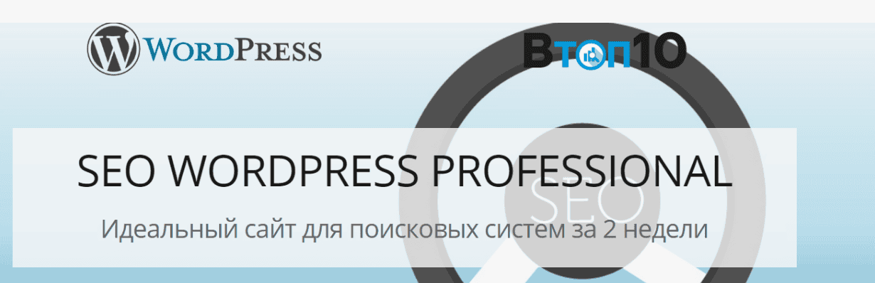 [SEO WORDPRESS PROFESSIONAL] Идеальный сайт для поисковых систем за 2 недели (2018)
