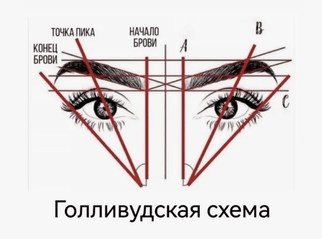 [Татьяна Галкина] Правильная коррекция бровей