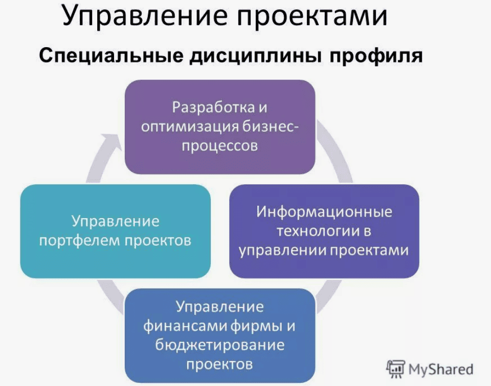 [Специалист] Практикум. Индивидуальный проект – направление «Управление проектами» (2019)