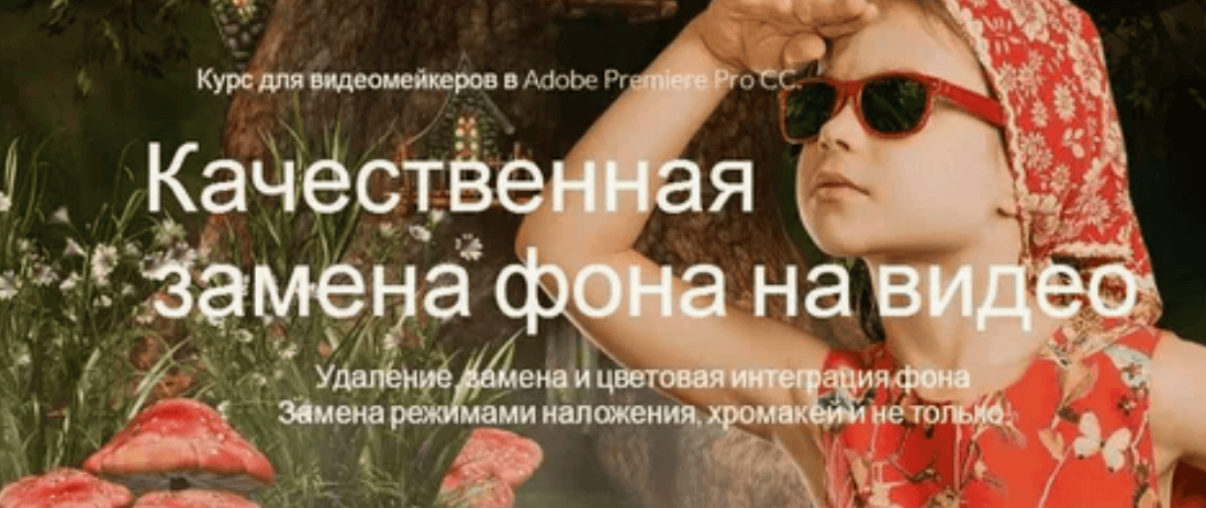 [ВАЛЕРИЙ ФИЛИПЧЕНКО] Качественная замена фона на видео (2017)