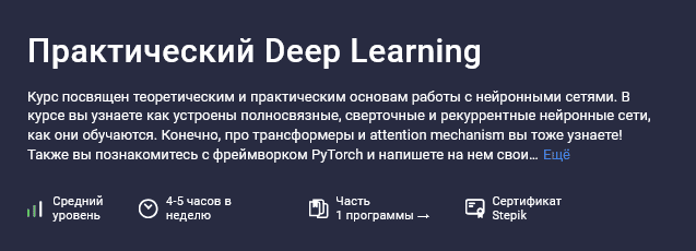 [Елена Кантонистова, Евгений Паточенко, Марк Блуменау] [Stepik] Практический Deep Learning (2025)