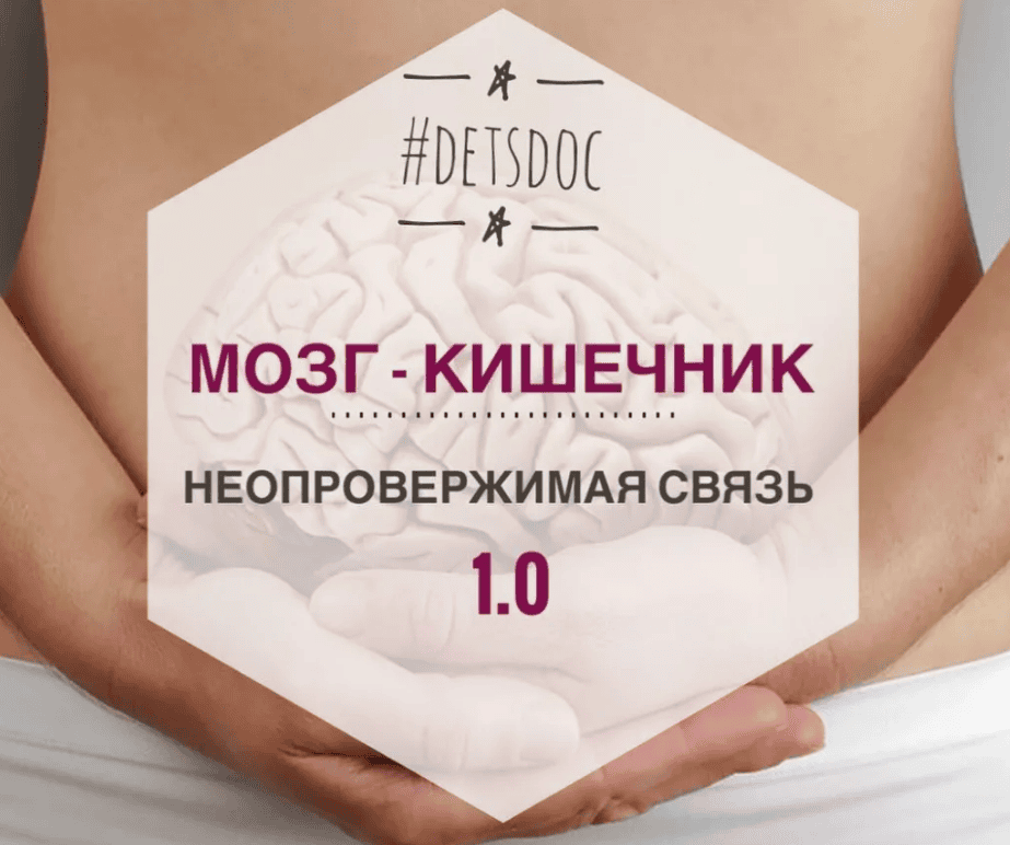 [Владимир Попов] Как здоровье кишечника влияет на работу мозга