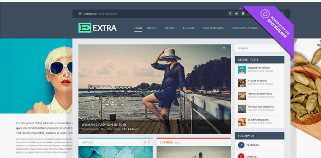 [WordPress] Extra v2.0.68 - новостной шаблон для WordPress