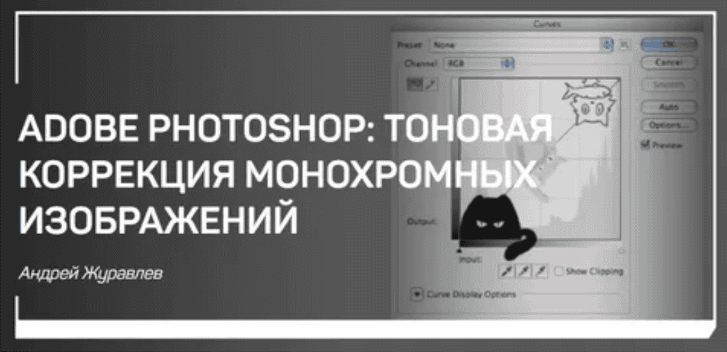 [Журавлев] Adobe Photoshop: тоновая коррекция монохромных изображений (2018)