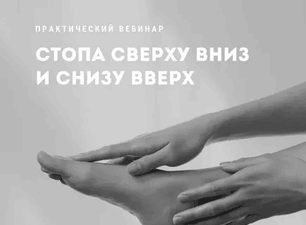 [Александр Волоткевич] Стопа сверху вниз и снизу вверх (2024)