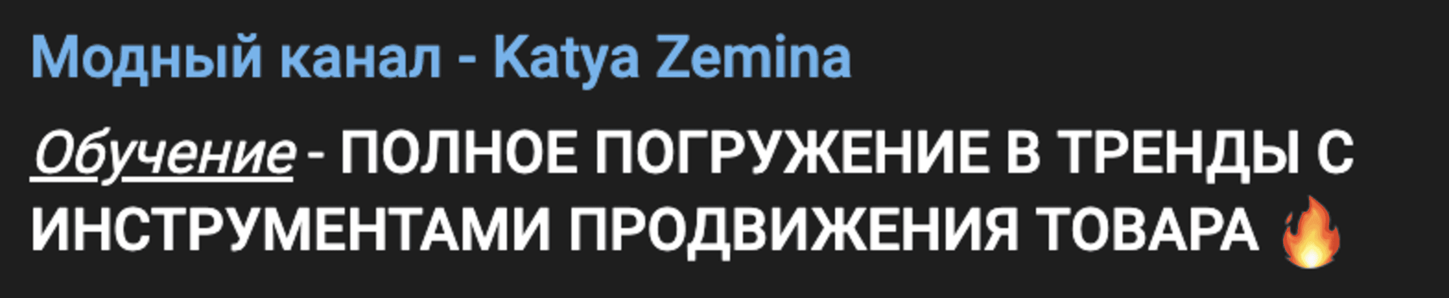 [Екатерина Земина, Дарья Лаиш] Полное погружение в тренды с инструментами продвижения товара (2024)