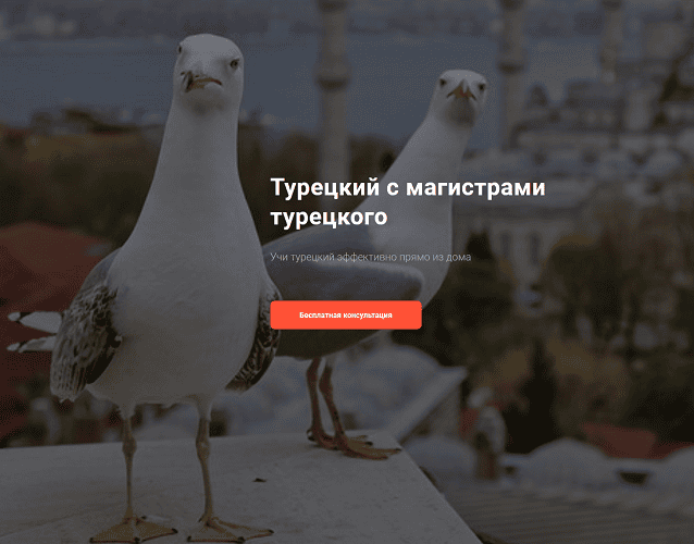[LINGUA TURCA] [Дарья Колосова] Фонетический курс для начинающих (уровень А1) (2024)