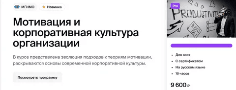 [МГИМО] [Ленар Юнусов] Мотивация и корпоративная культура организации (2024)