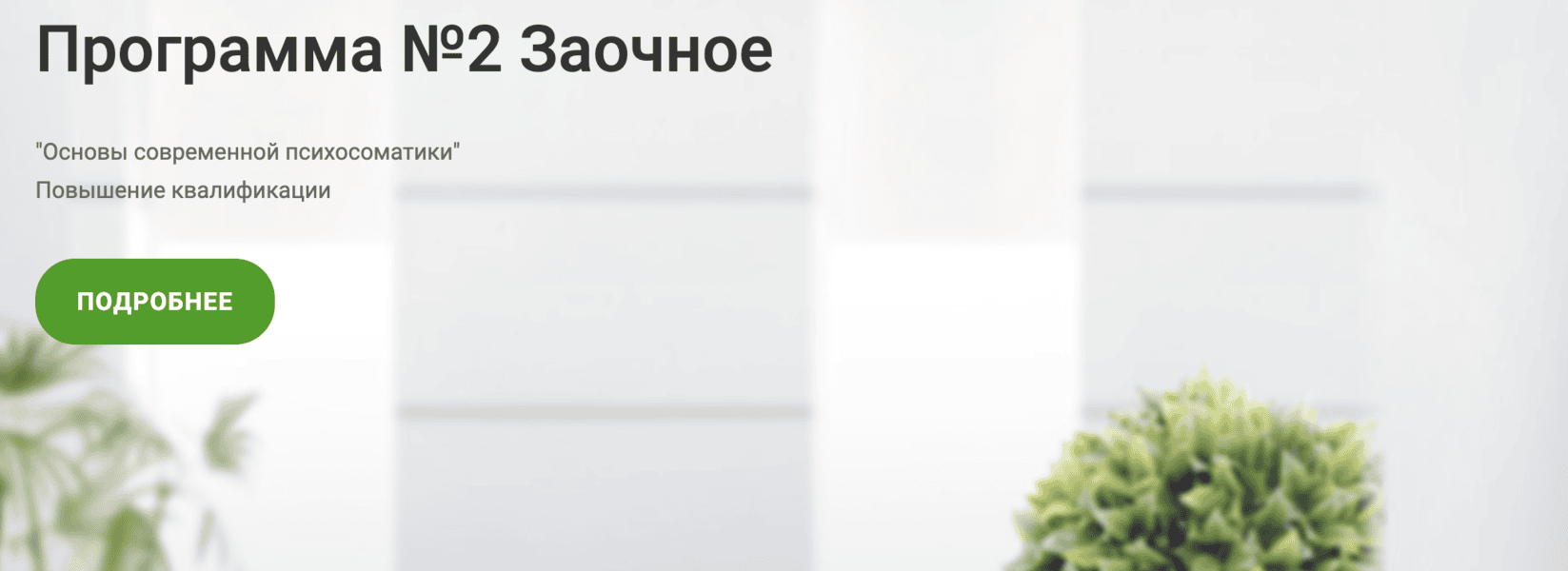 [ИППЧП] [Виталина Чибис] Основы современной психосоматики. 2 триместр (2024)
