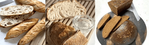 [Oh my Bread] Полный курс - курс «Мой хлеб» + «Итальянский курс» (2021)