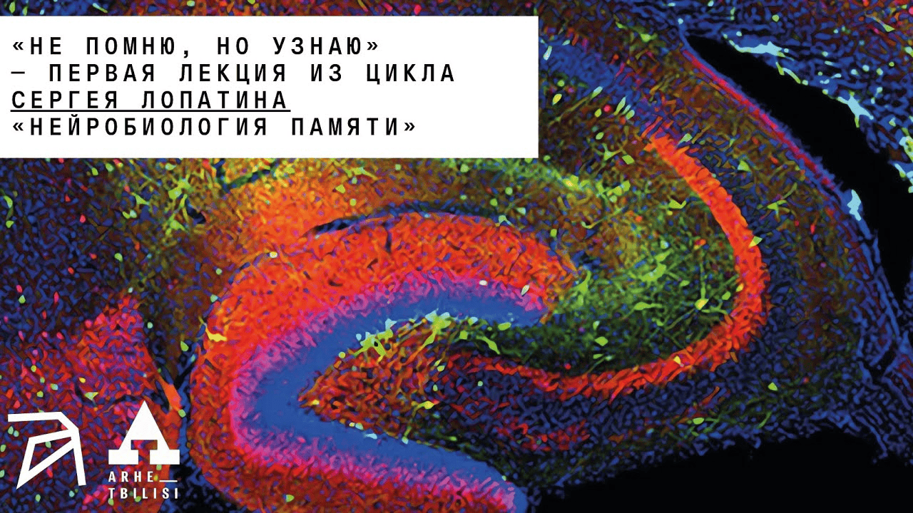 [Архэ] [Сергей Лопатин] Нейробиология памяти. Не помню, но узнаю (2025)