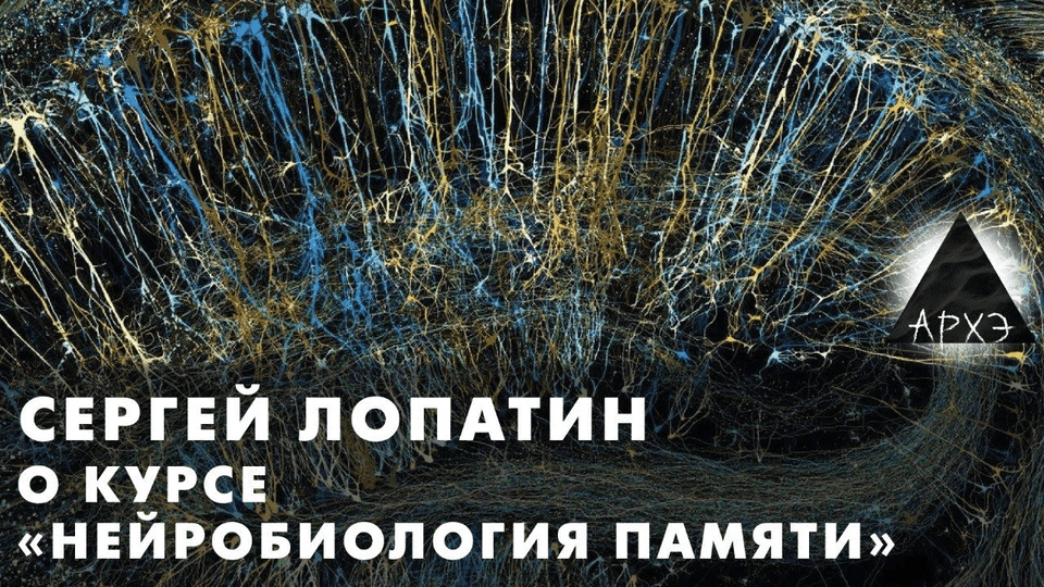 [Архэ] [Сергей Лопатин]  Нейробиология памяти. Автобиографическая память (2025)