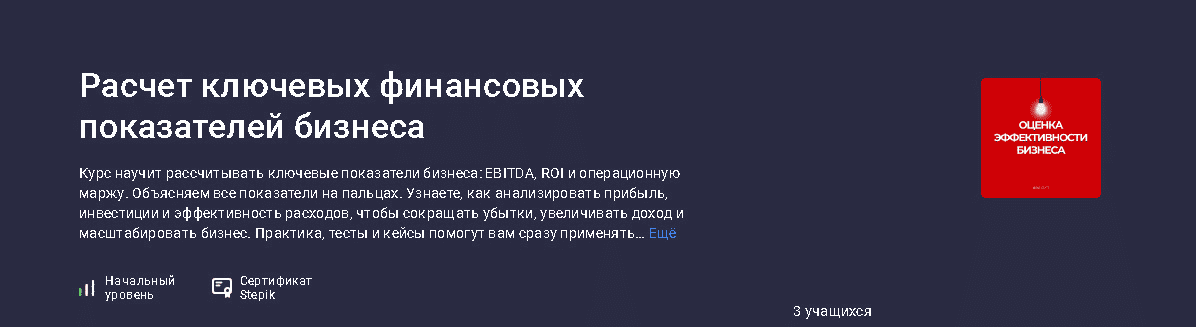 [Мария Пархоменко] [Stepik] Расчет ключевых финансовых показателей бизнеса (2025)
