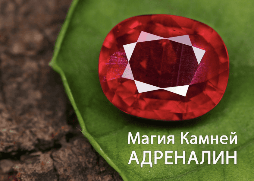 [Анна Гак] Магия камней (2025)