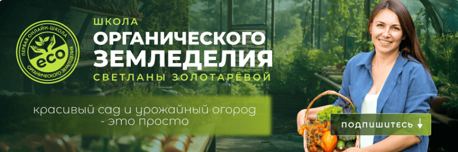 [Светлана Золотарёва] Пестициды. Их виды, назначения. Влияние на человека и природу (2025)