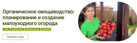 [Марина Шевлякова] Органическое овощеводство: планирование и создание малоуходного огорода (2025)