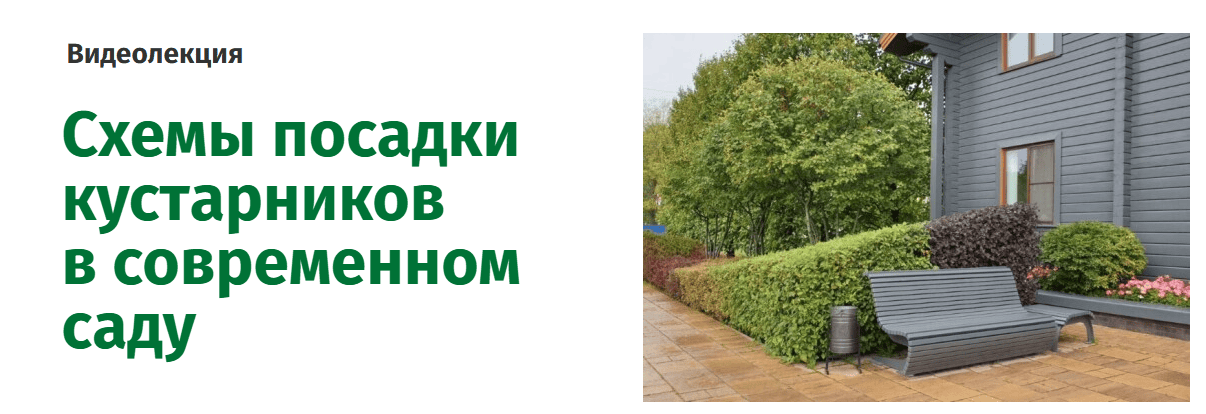 [Наталья Мягкова] Схемы посадки кустарников в современном саду (2025)