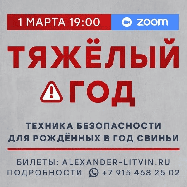 [Александр Литвин] Тяжелый год. Техника безопасности для рожденных в год Свиньи (2025)