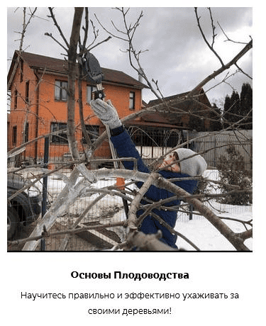 [Кристианна Виниченко] Основы плодоводства (2020)
