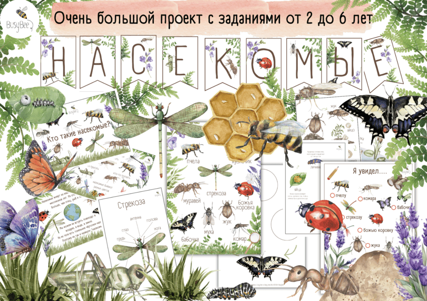 [busy-bee] [Елена Самсонова] Большой проект Насекомые (2025)