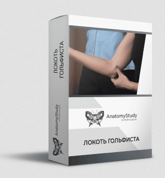 [Анатомия] [Андрей Богатырев] Локоть гольфиста (2022)