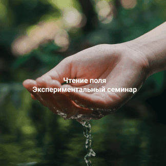 [Елена Веселаго] [Институт Открытого поля] Чтение поля. Экспериментальный семинар (2025)