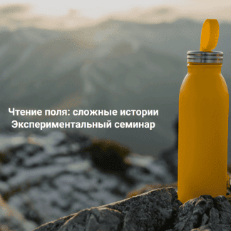 [Елена Веселаго] Чтение поля: сложные истории. Экспериментальный семинар (2025)