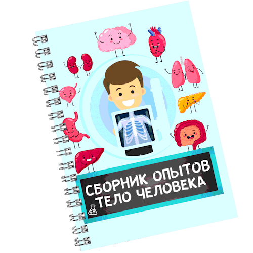 [Нескучная лаборатория] Сборник опытов "Тело человека" (2025)