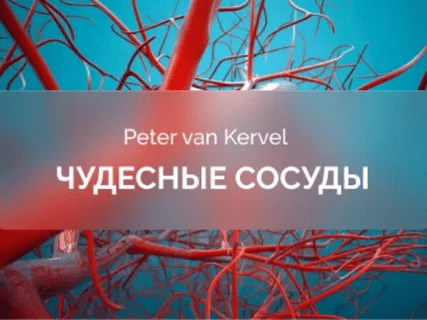 [Питер Ван Кервель] [Краниосакральная академия] Чудесные сосуды (2025)