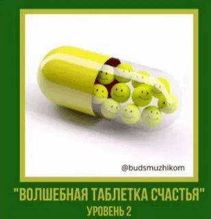 [Владимир Баранов] Волшебная таблетка счастья. Уровень 2. Будь с мужиком (2025)