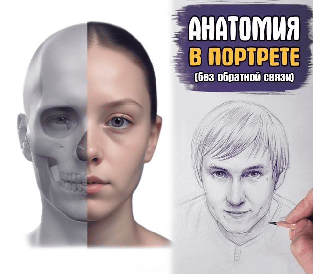 [Андрей Марков] Анатомия в портрете. Базис (2025)