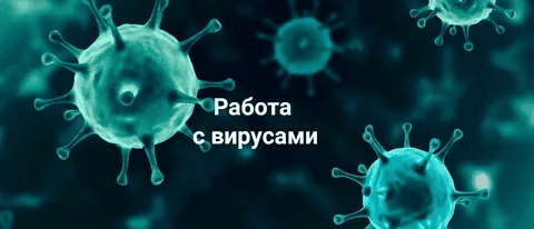 [Никита Истомин] Работа с вирусами (2024)