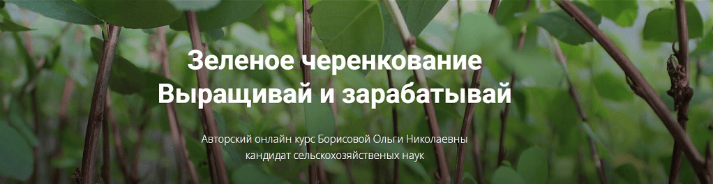 [Питомник растений «Глория»] [Ольга Борисова] Зеленое черенкование. Выращивай и зарабатывай (2025)
