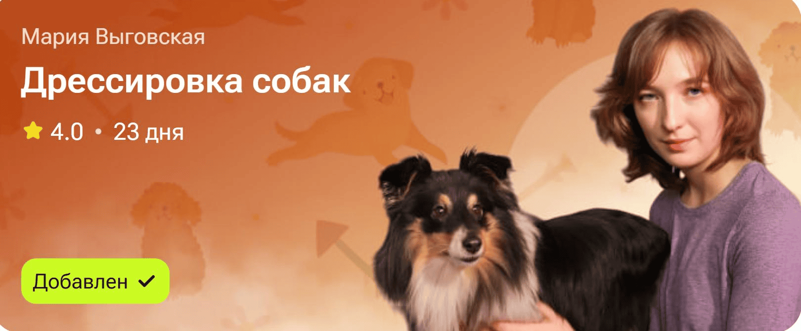 [TutorPlace] Мария Выговская ― Дрессировка собак (2025)