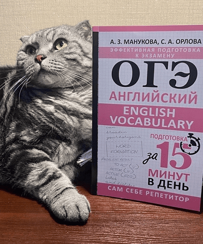 [Светлана Орлова, Аида Манукова] [Англомастер] Лексика для ОГЭ. Интерактивный курс (2025)