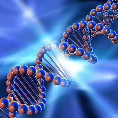 [genetics_4u] Биохимия мужского здоровья (2025)