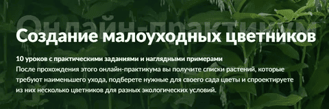 [Ольга Красулина] Создание малоуходных цветников (2022)