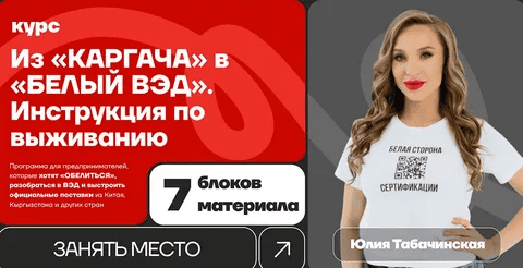 [Юлия Табачинская] Из Каргача в Белый ВЭД. Инструкция по выживанию (2025)