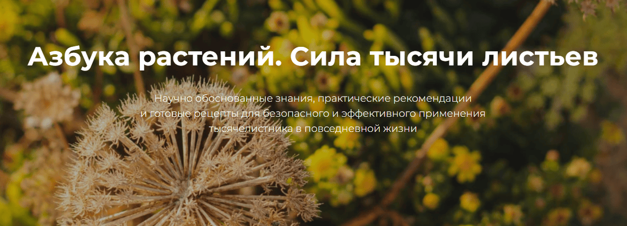 [FestTrav, Александра Клименко] Азбука растений. Тысячелистник (2025)